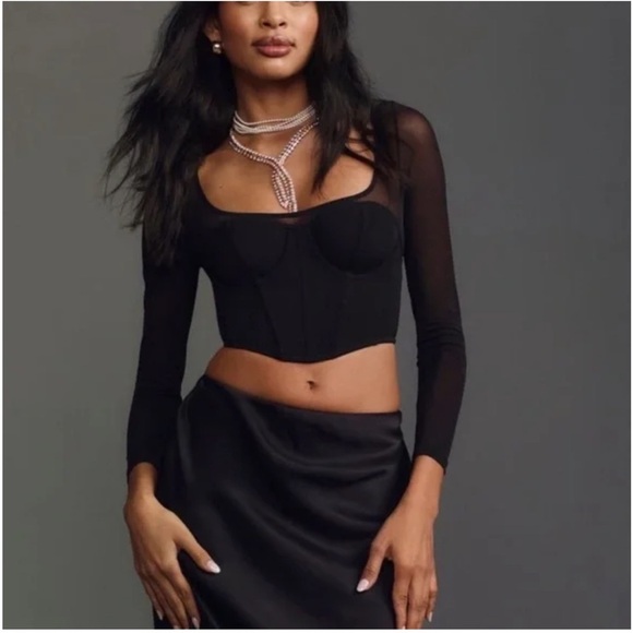 Anthropologie Tops - NWT By Anthropologie Long-Sleeve
Mesh Crop Top, Size XL